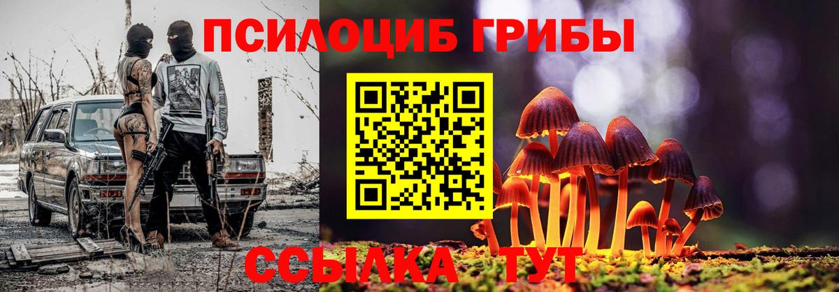 Псилоцибиновые грибы GOLDEN TEACHER Владивосток