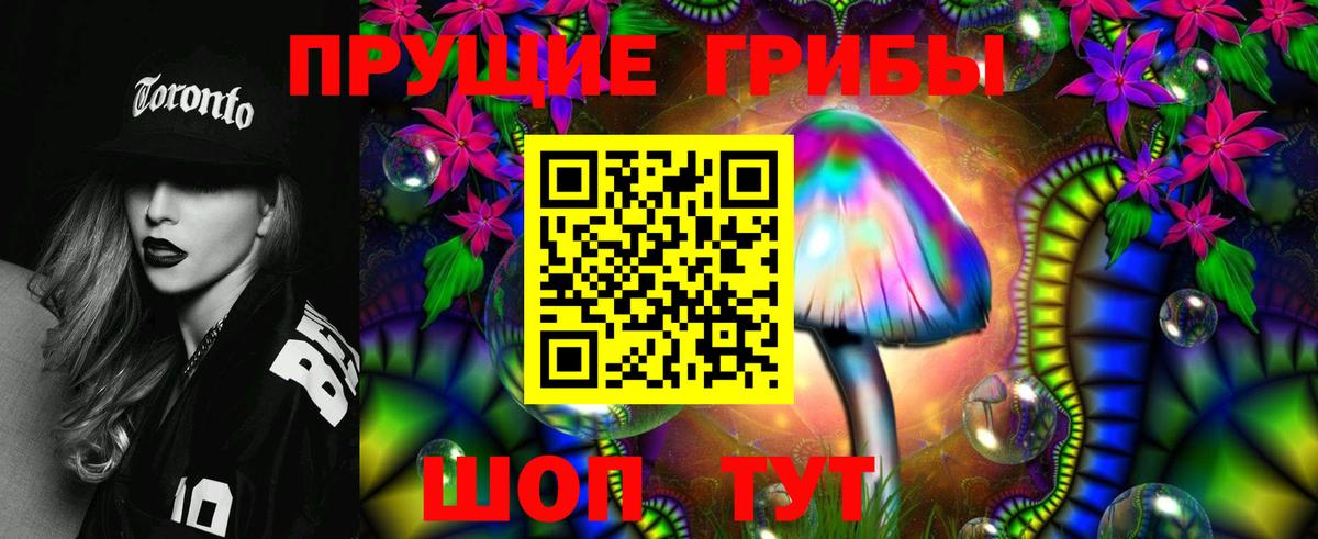 Владивосток  Псилоцибиновые грибы Cubensis  Вход с VPN 
