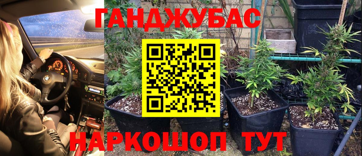 Бошки Шишки сатива  Бошки Шишки марихуана  Вход с VPN  Бошки марихуана White Widow  МАРИХУАНА сатива  Владивосток 